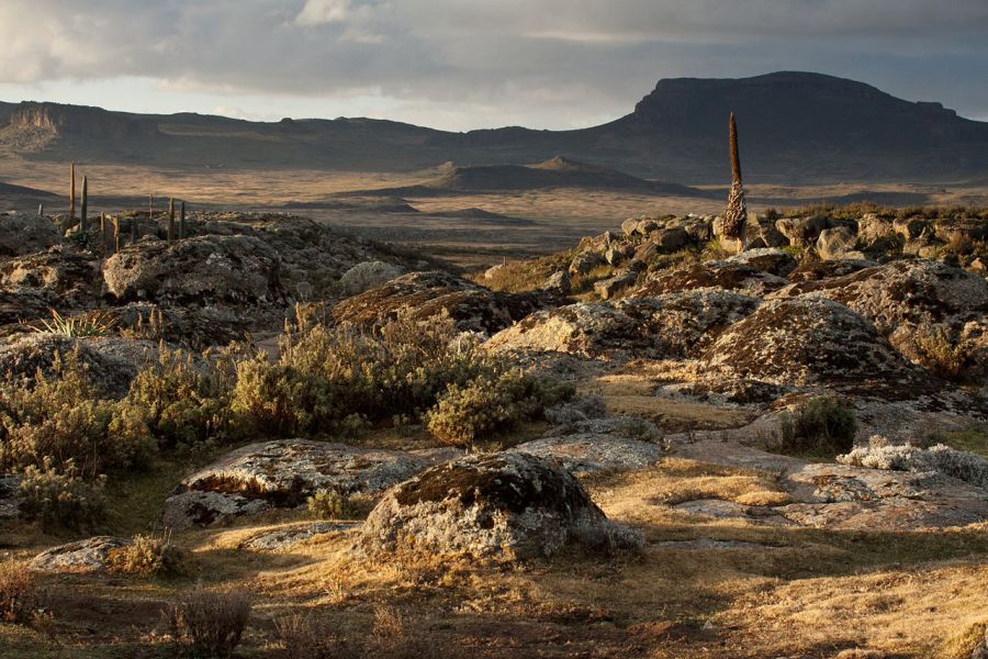 Bale_Mountains (1)