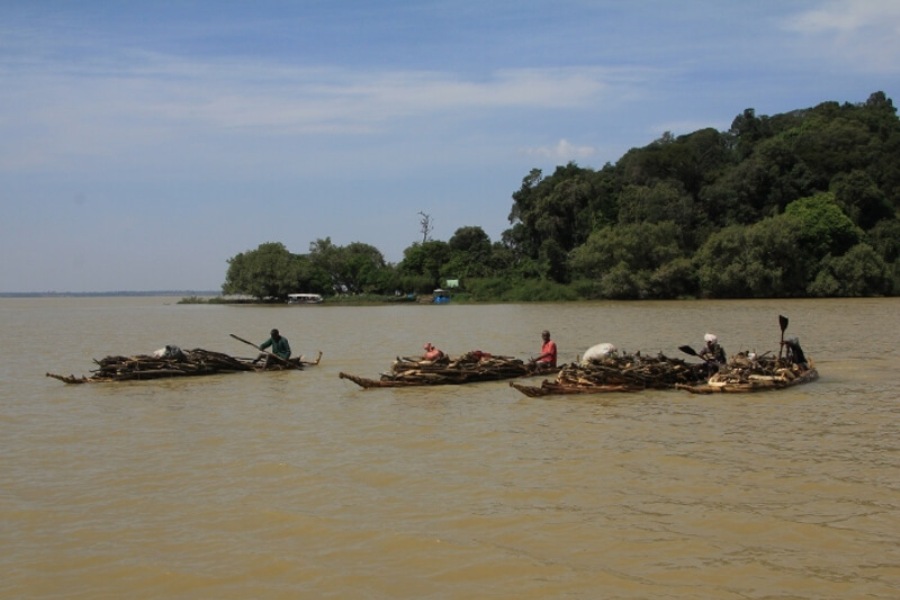 bahirdar-Papyrusboote-auf-dem-Tanasee-boats-made-of-papyrus-on-lake-Tana1 (1)