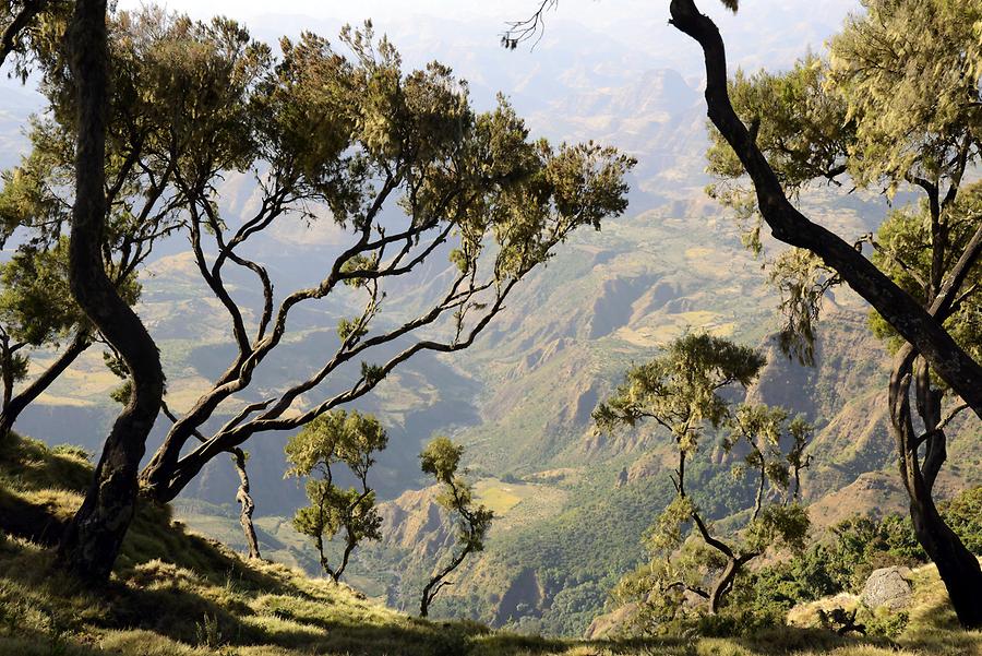 scaled-900×601-AN0309_Simien_Mountains_NP