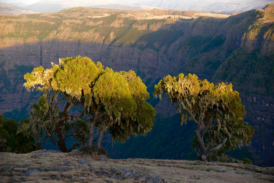 scaled-900×601-AN0347_SU_Simien_Mountains_NP